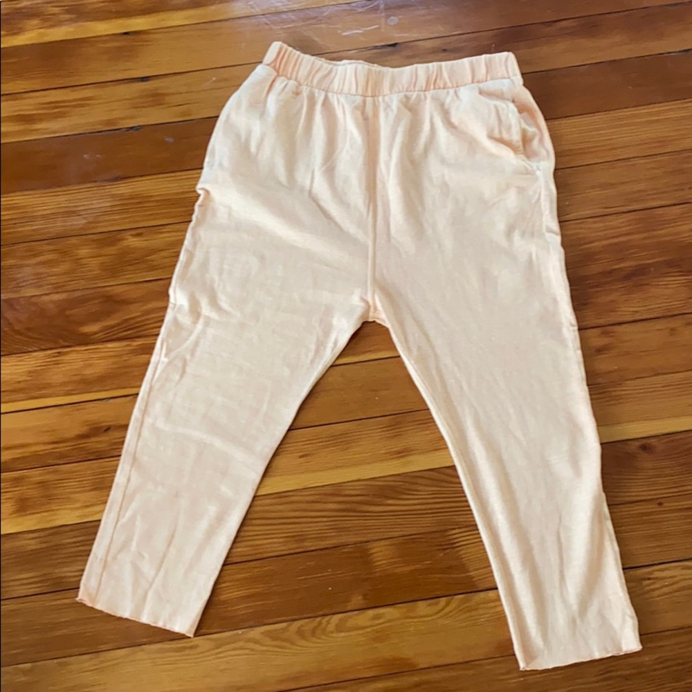 Free people sweat pants